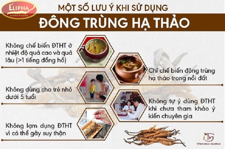 Một số lưu ý khi sử dụng đông trùng hạ thảo Tây Tạng