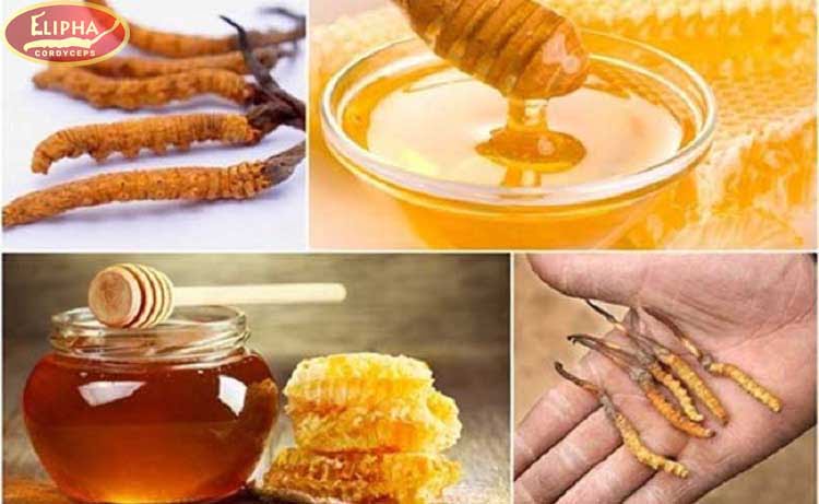 Người bị bệnh tiểu đường nên uống đông trùng hạ thảo ngâm mật ong.